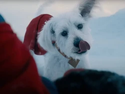 Mengenal Krypto Si Superdog