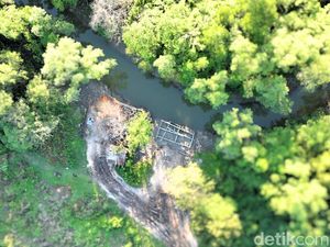 Warga Tarakan Barat Keluhkan Jalan Rusak Diduga Imbas Illegal Logging Warga Tarakan Barat Keluhkan Jalan Rusak Diduga Imbas Illegal Logging