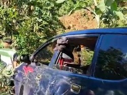Tak Kuat Menanjak, Mobil Wisatawan Terperosok ke Tebing di Bogor