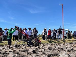 Panen Raya Bareng Presiden, Banyuwangi Panen Padi 4 Kali Setahun
