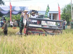 Jaga Ketahanan Pangan Lewat Panen Raya Padi di Tarik Sidoarjo
