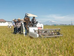 Ahmad Luthfi Yakin Jateng Mampu Penuhi Target 11,8 Juta Ton Padi di 2025