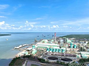 Pemerintah Sebut Swasta Paling Banyak Punya Kawasan Industri di RI Pemerintah Sebut Swasta Paling Banyak Punya Kawasan Industri di RI