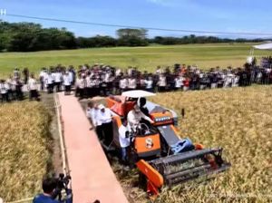 Prabowo Jajal Combine Harvester Saat Panen Raya di Majalengka
