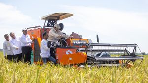 Prabowo Naik Mesin Harvester Saat Panen Raya Padi di Majalengka