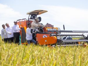 Prabowo Naik Mesin Harvester Saat Panen Raya Padi di Majalengka