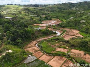 Kades Cihaur Minta Maaf soal Polemik Tambang Emas di Sukabumi Kades Cihaur Minta Maaf soal Polemik Tambang Emas di Sukabumi