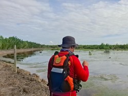 Pencarian Bocah Perempuan yang Diterkam Buaya di Berau Dihentikan