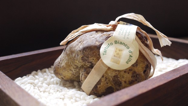 Truffle putih/Foto: Dok. Michelin Guide fakta ragam makanan termahal di dunia