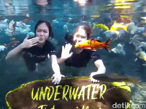 Wisata Tirtosari di Kaki Gunung Semeru Tawarkan Spot Underwater Ikan Koi Wisata Tirtosari di Kaki Gunung Semeru Tawarkan Spot Underwater Ikan Koi