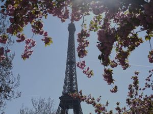 Paus Fransiskus Wafat, Menara Eiffel Padamkan Lampu sebagai Tanda Berkabung