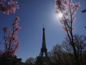 Menara Eiffel Padam, Dunia Berkabung atas Wafatnya Paus Fransiskus