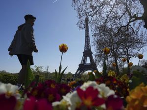 Cantiknya Bunga-bunga Bermekaran yang Dekat Menara Eiffel Cantiknya Bunga-bunga Bermekaran yang Dekat Menara Eiffel