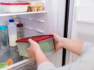Makanan Cepat Basi Padahal Disimpan di Kulkas? Mungkin Ini Penyebabnya!