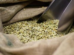 Manfaat Minum Kopi Hijau untuk Diet dan Cara Aman Konsumsinya