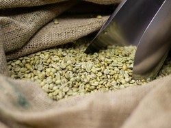 Manfaat Minum Kopi Hijau untuk Diet dan Cara Aman Konsumsinya