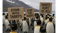 Meme Kocak Pulau Penguin Kena Tarif Trump