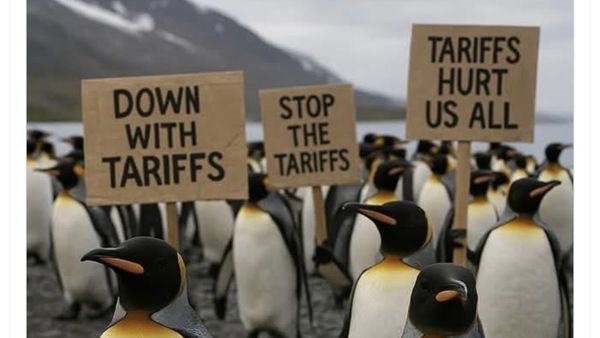 Meme Kocak Pulau Penguin Kena Tarif Trump