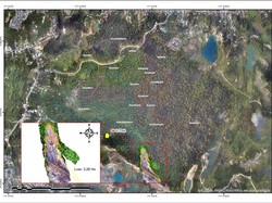 Balai Gakkum LHK Himpun Bukti Data-Video Tambang Ilegal di Hutan Unmul