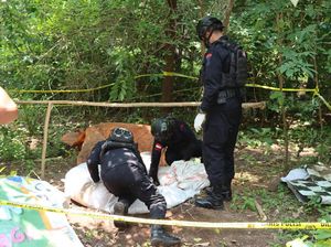 16 Granat-393 Amunisi yang Ditemukan di Pengungsian Lewotobi Dimusnahkan 16 Granat-393 Amunisi yang Ditemukan di Pengungsian Lewotobi Dimusnahkan