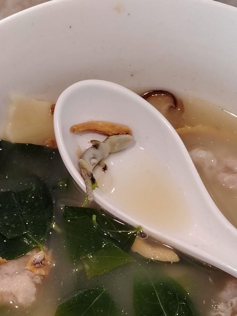 Temukan Kadal Mati dalam Mie Pesanannya, Wanita Ini Tetap Harus Bayar