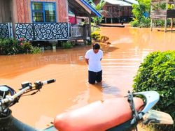 Banjir Landa Krayan Selatan Usai Hujan Deras, Rumah-Jembatan Terendam