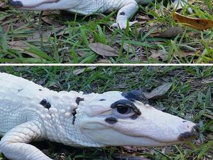 Deretan Foto Ungkap Sisi yang Tak Terlihat di Dunia Ini