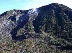 PVMBG Sebut Gempa Darat Solok Memicu Aktivitas Kegempaan Gunung Talang PVMBG Sebut Gempa Darat Solok Memicu Aktivitas Kegempaan Gunung Talang