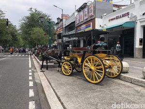 Viral Kuda Andong Lepas Kendali di Malioboro, Ternyata Kaget Suara Knalpot Viral Kuda Andong Lepas Kendali di Malioboro, Ternyata Kaget Suara Knalpot