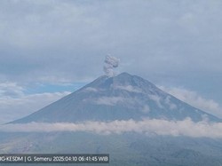 Gunung Semeru Erupsi 5 Kali hingga Pagi Ini, Kolom Abu Capai 800 Meter