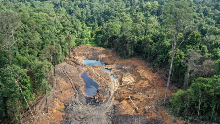 Foto udara Kawasan Hutan Dengan Tujuan Khusus (KHDTK) Diklat Kehutanan Fakultas Kehutanan Unmul yang rusak di Samarinda, Kalimantan Timur, Kamis (10/4/2025). Menurut Kepala Laboratorium Alam KHDTK Diklathut Fahutan Unmul Rustam Fahmy sekitar 3,26 hektare lahan di KHDTK itu diratakan dengan alat berat disangka  untuk alih fungsi lahan selaku  tempat tambang ilegal yang berjalan sejak 5 April 2025. ANTARA FOTO/M Risyal Hidayat/Spt.