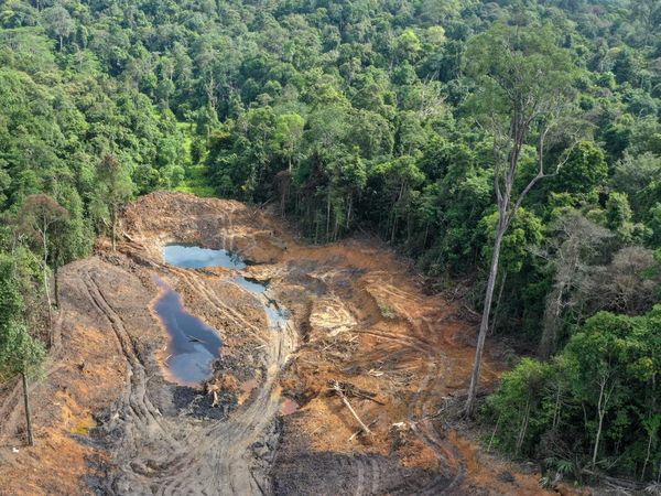 Kawasan Hutan di Samarinda Rusak Akibat Tambang Ilegal