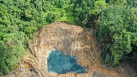 Nekat Caplok Hutan buat Tambang Didenda hingga Rp 6,5 M! Ini Daftarnya
