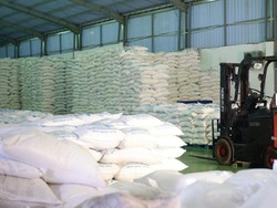 KKP dan PT Garam Uji Stok 240 Ribu Ton Garam untuk Industri Makanan