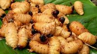 10 Hidangan Tradisional Indonesia yang Mulai Langka, Pernah Cicip?