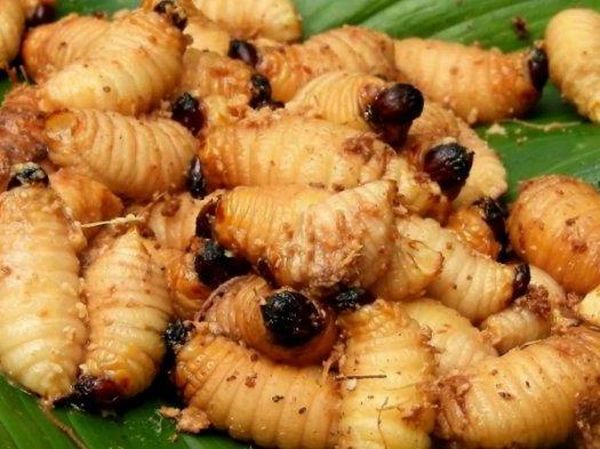 10 Hidangan Tradisional Indonesia yang Mulai Langka, Pernah Cicip?