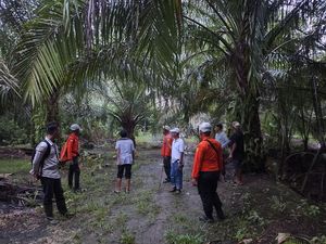 Nenek 80 Tahun di Kayong Utara Hilang, Terakhir Terlihat Sedang Ngopi