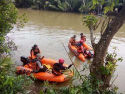Pria Paser Diterkam Buaya Saat Jala Udang, Tim SAR Temukan Organ Tubuh