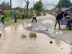 Tagih Janji Bupati, Warga Lampung Selatan Tabur Ikan Lele di Jalan Rusak Tagih Janji Bupati, Warga Lampung Selatan Tabur Ikan Lele di Jalan Rusak