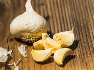 5 Manfaat Golden Garlic Beserta Cara Mengonsumsi dan Menyimpannya 5 Manfaat Golden Garlic Beserta Cara Mengonsumsi dan Menyimpannya