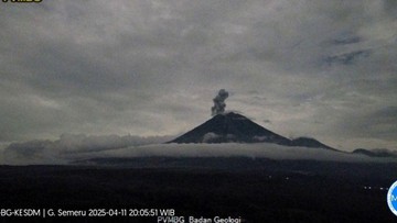 Gunung Semeru 7 Kali Erupsi hingga Malam Ini, Abu Vulkanik Capai 800 Meter