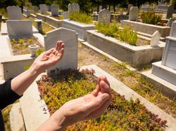 Bolehkan Menanam Pohon di Makam? Ini Penjelasan Lengkap