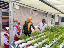 Pertamina Berikan Beasiswa untuk Dorong Akses Pendidikan Local Hero