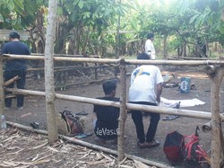 Polisi Gerebek Judi Sabung Ayam di Pinrang, 6 Pelaku Ditangkap