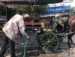 Melihat Kusir Andong Bersihkan Kotoran Kuda di Malioboro