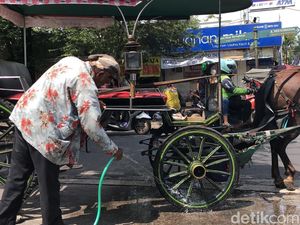 Melihat Kusir Andong Bersihkan Kotoran Kuda di Malioboro Melihat Kusir Andong Bersihkan Kotoran Kuda di Malioboro