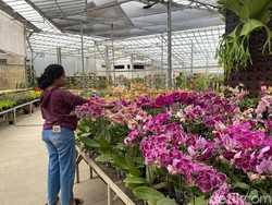 600 Ribu Wisatawan Berkunjung ke Kota Batu Saat Libur Lebaran