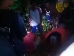 Kronologi Wanita di Buton Dililit-Nyaris Ditelan Ular Piton 6,5 Meter