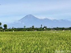 Semeru 2 Kali Erupsi Pagi ini, Luncurkan Abu Vulkanik Hingga 700 Meter