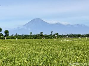 Semeru 2 Kali Erupsi Pagi ini, Luncurkan Abu Vulkanik Hingga 700 Meter Semeru 2 Kali Erupsi Pagi ini, Luncurkan Abu Vulkanik Hingga 700 Meter